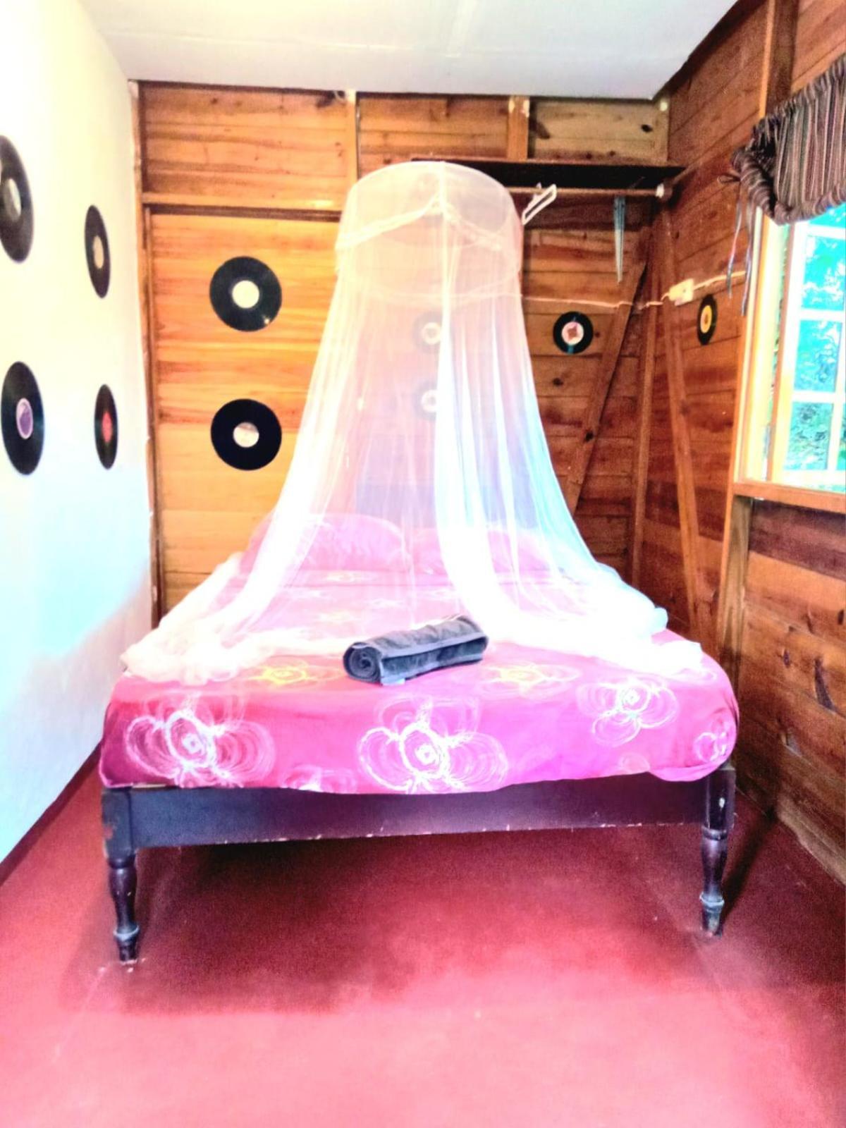 La Familia Guest House And Natural Farm Port Antonio Bagian luar foto