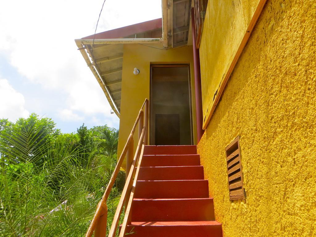 La Familia Guest House And Natural Farm Port Antonio Bagian luar foto