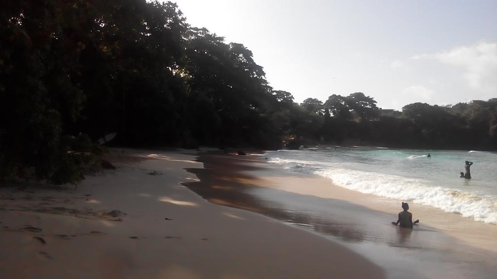 La Familia Guest House And Natural Farm Port Antonio Bagian luar foto