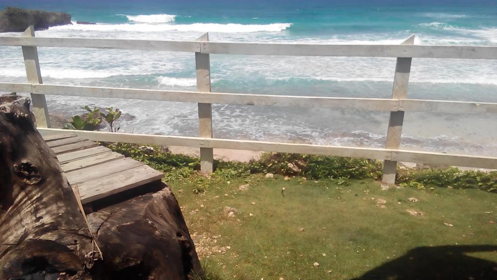 La Familia Guest House And Natural Farm Port Antonio Bagian luar foto