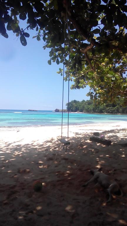 La Familia Guest House And Natural Farm Port Antonio Bagian luar foto