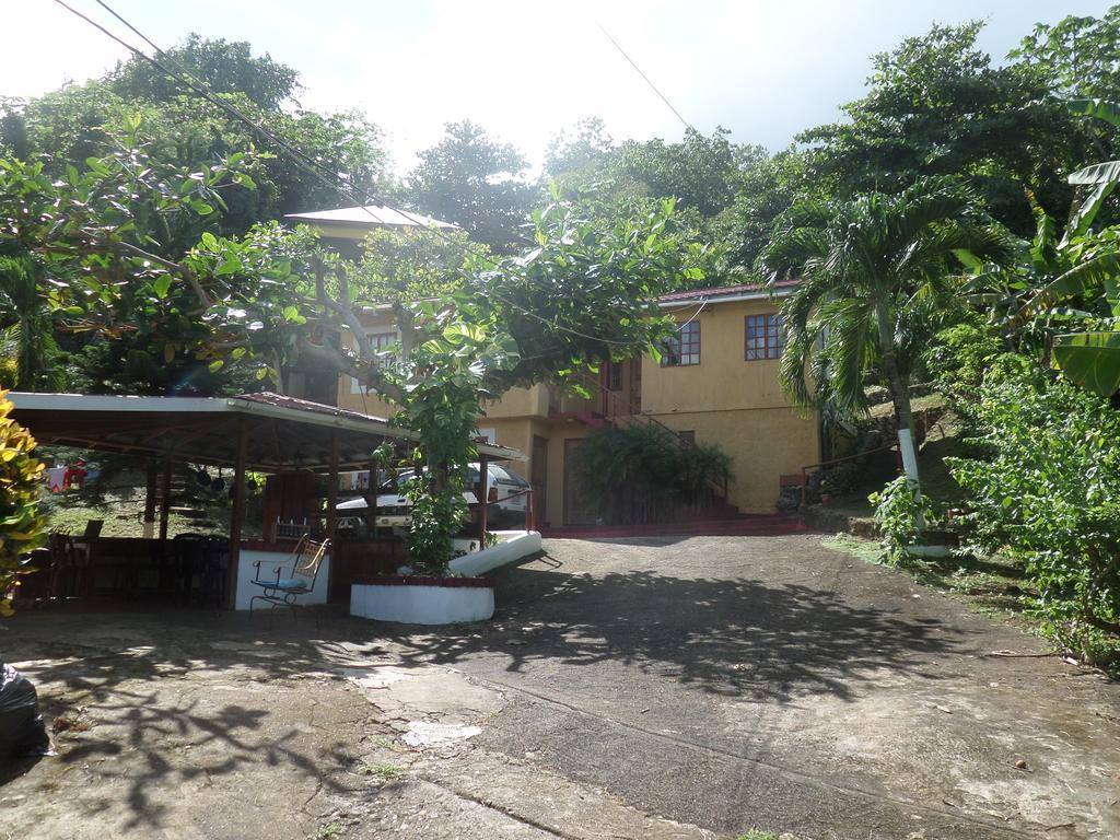La Familia Guest House And Natural Farm Port Antonio Bagian luar foto