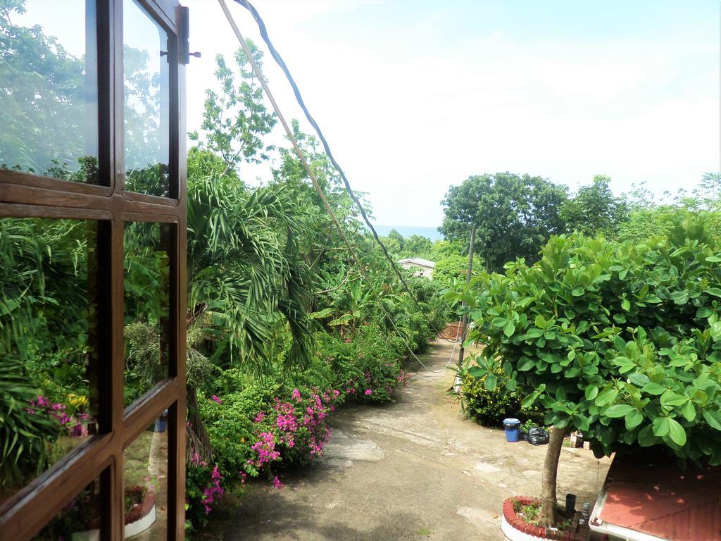La Familia Guest House And Natural Farm Port Antonio Bagian luar foto